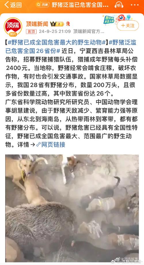 神农架发生野猪非洲猪瘟疫情,神农架食肉动物-第1张图片 神农架发生野猪非洲猪瘟疫情,神农架食肉动物-第1张图片
