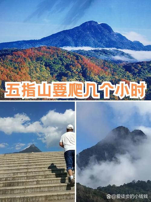 五指山天气,五指山天气预报最新7天查询结果电话-第5张图片 五指山天气,五指山天气预报最新7天查询结果电话-第5张图片