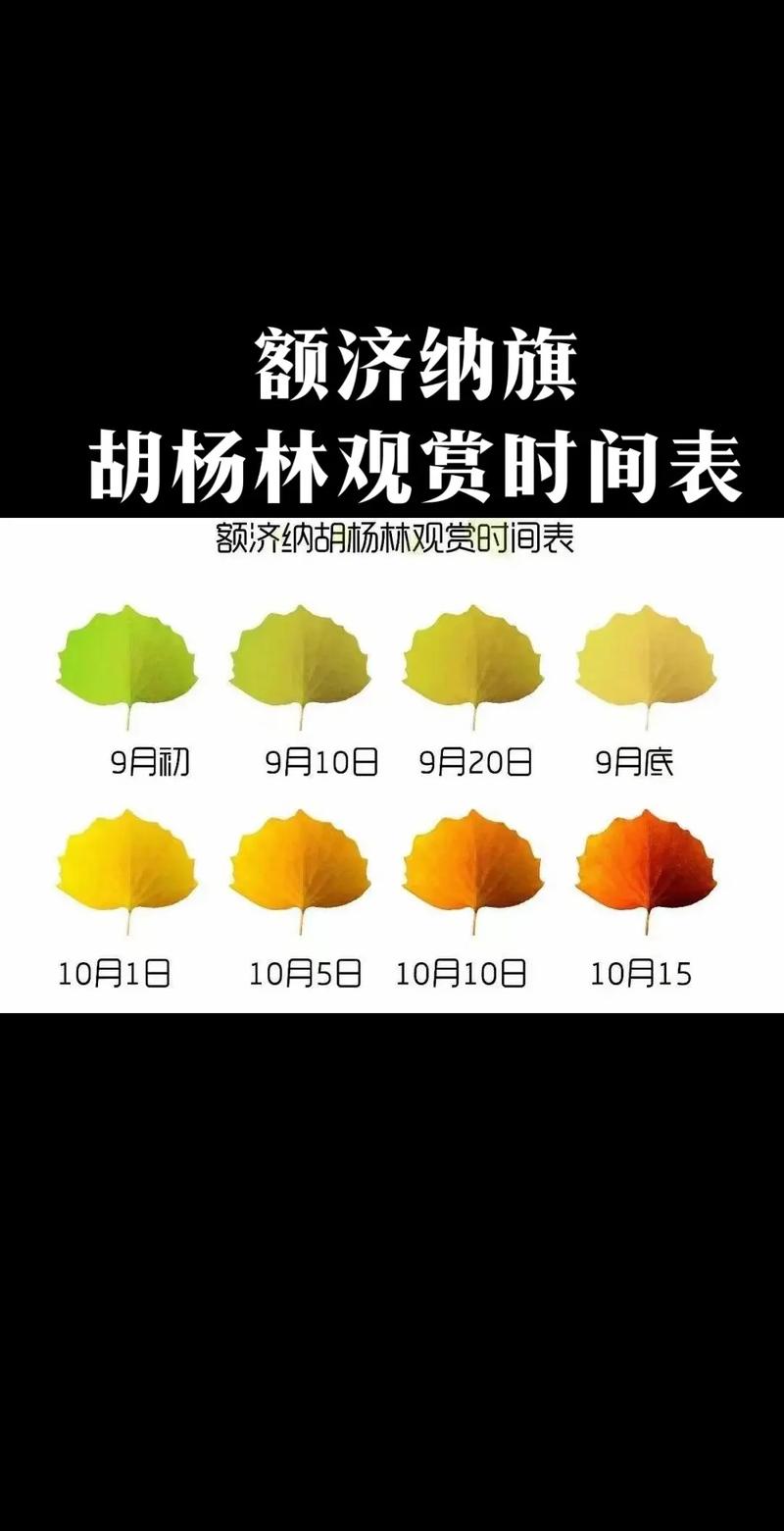 额济纳旗天气预报,额济纳旗天气预报15天-第9张图片 额济纳旗天气预报,额济纳旗天气预报15天-第9张图片
