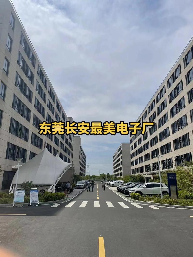 关于“长葛限号”你不知道的事-第1张图片 关于“长葛限号”你不知道的事-第1张图片
