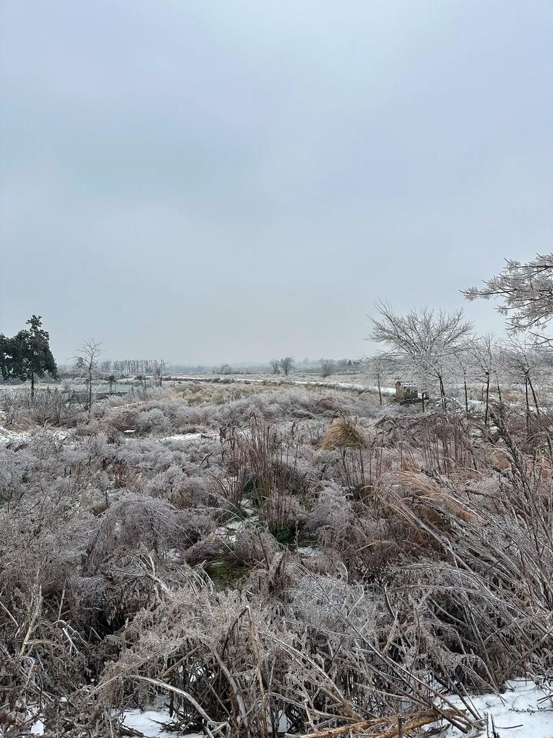 随州天气-随州天气预报最新15天-第1张图片 随州天气-随州天气预报最新15天-第1张图片
