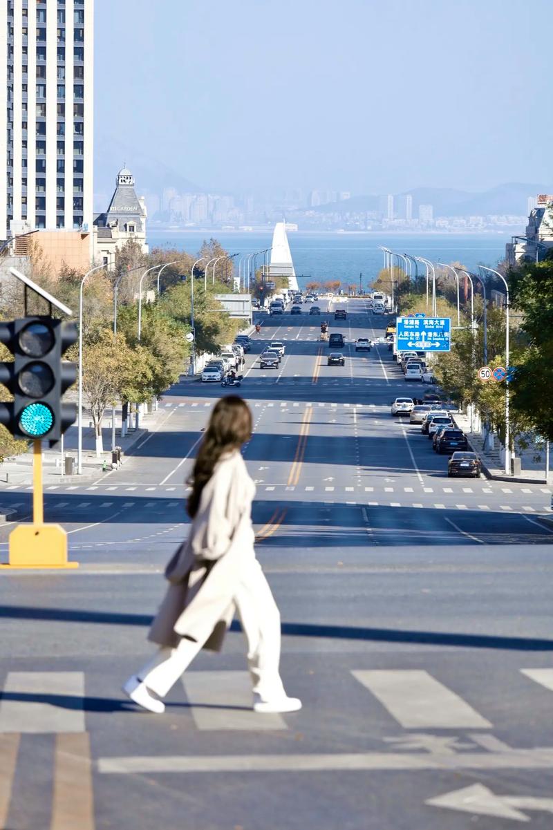 大连东北路限行/大连东北路限行时间-第6张图片 大连东北路限行/大连东北路限行时间-第6张图片