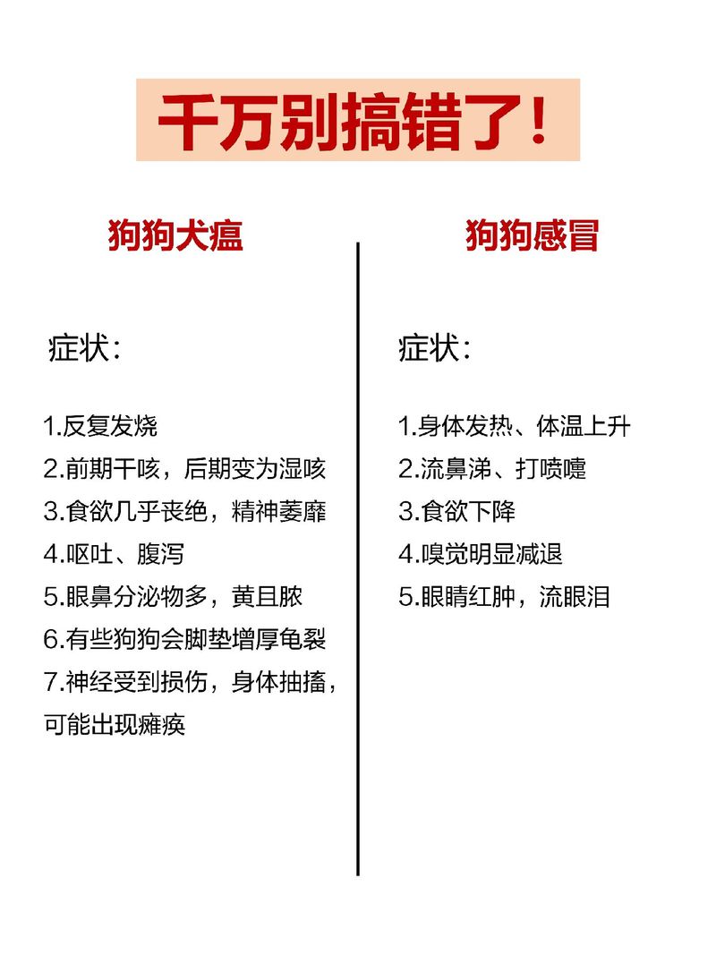 疫情拼音,疫情拼音缩写-第7张图片 疫情拼音,疫情拼音缩写-第7张图片