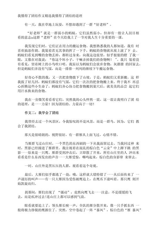 【疫情中的团结/疫情中的团结一致八百字作文】-第6张图片 【疫情中的团结/疫情中的团结一致八百字作文】-第6张图片