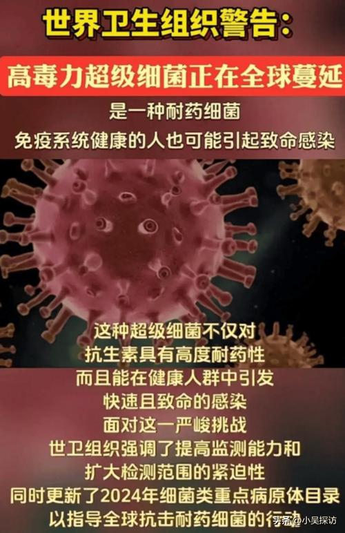 朝鲜疫情发现一个毙一个是真的吗-朝鲜疫情死了多少人-第6张图片 朝鲜疫情发现一个毙一个是真的吗-朝鲜疫情死了多少人-第6张图片