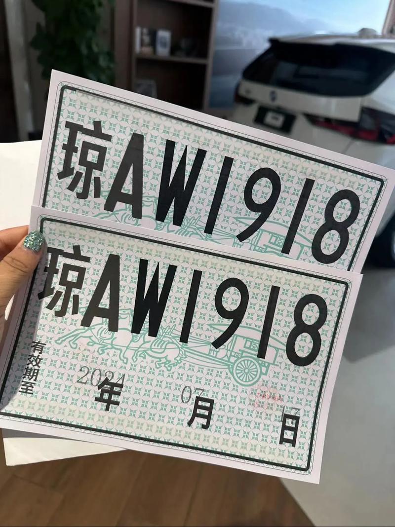 临时车牌限号吗/临时车牌限号吗成都-第6张图片 临时车牌限号吗/临时车牌限号吗成都-第6张图片