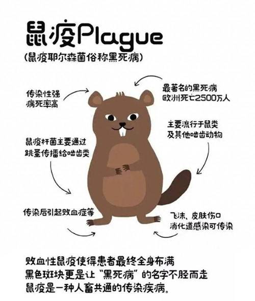 重大动物疫情/重大动物疫情应急预案-第6张图片 重大动物疫情/重大动物疫情应急预案-第6张图片