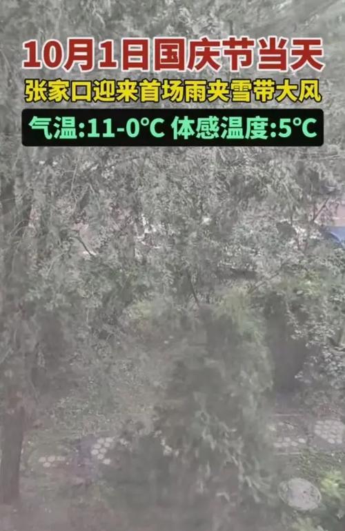 张家口市天气/张家口市天气预报24小时-第2张图片 张家口市天气/张家口市天气预报24小时-第2张图片