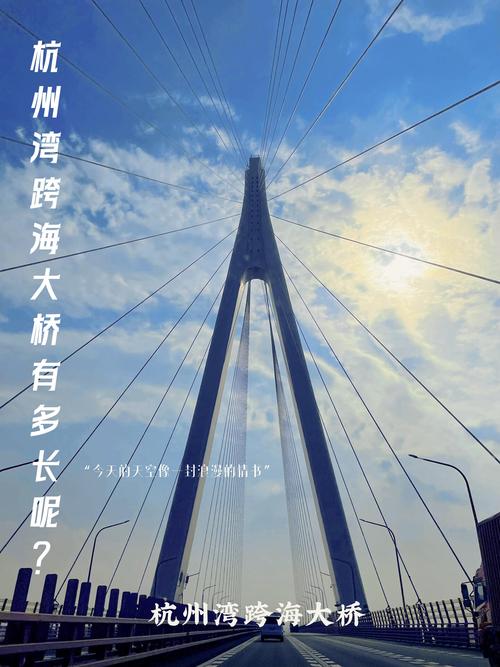 【大连跨海大桥限号吗/大连跨海大桥限速吗】-第5张图片 【大连跨海大桥限号吗/大连跨海大桥限速吗】-第5张图片