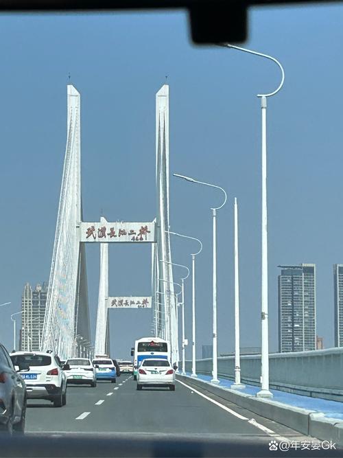 长江二桥限号/长江二桥限号规则2024年-第3张图片 长江二桥限号/长江二桥限号规则2024年-第3张图片