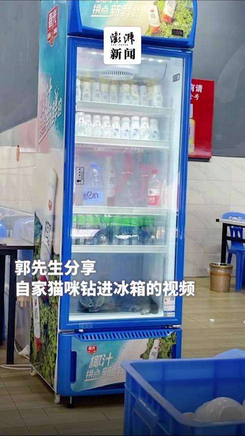 关于“汕头天气”你不知道的事-第4张图片 关于“汕头天气”你不知道的事-第4张图片