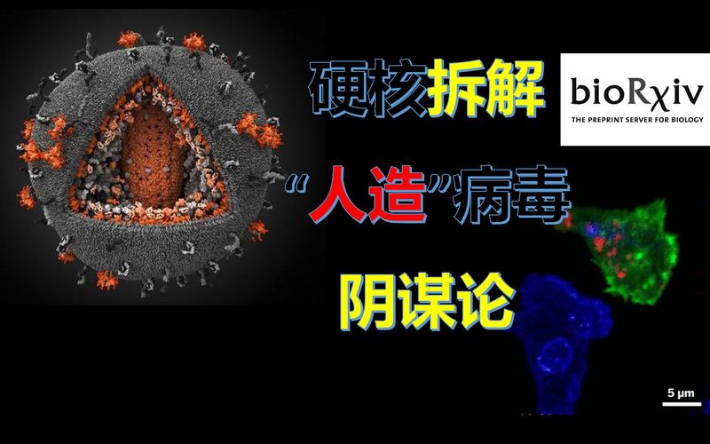 疫情污名化/疫情污名化 英语-第4张图片 疫情污名化/疫情污名化 英语-第4张图片