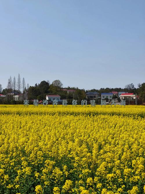 宁乡天气/宁乡天气预报查询30天-第5张图片 宁乡天气/宁乡天气预报查询30天-第5张图片
