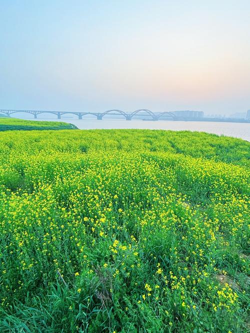 宁乡天气/宁乡天气预报查询30天-第10张图片 宁乡天气/宁乡天气预报查询30天-第10张图片