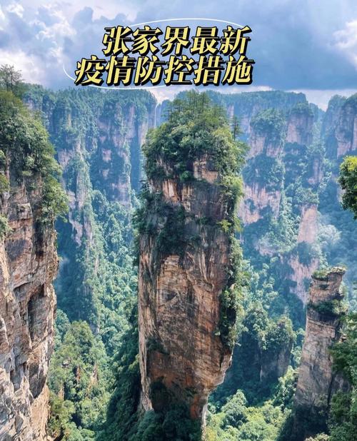 张家界市疫情,张家界市疫情防控典型经验-第2张图片 张家界市疫情,张家界市疫情防控典型经验-第2张图片