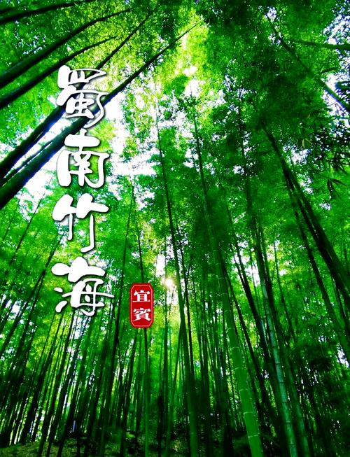 宜宾天气预报一周-宜宾天气预报15天查-第1张图片 宜宾天气预报一周-宜宾天气预报15天查-第1张图片