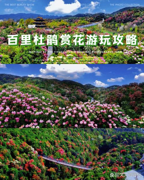 关于“大方天气预报”你不知道的事-第2张图片 关于“大方天气预报”你不知道的事-第2张图片
