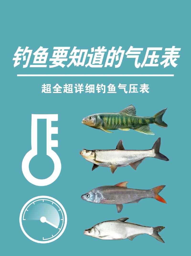 安康天气/安康天气预报今天查询-第8张图片 安康天气/安康天气预报今天查询-第8张图片